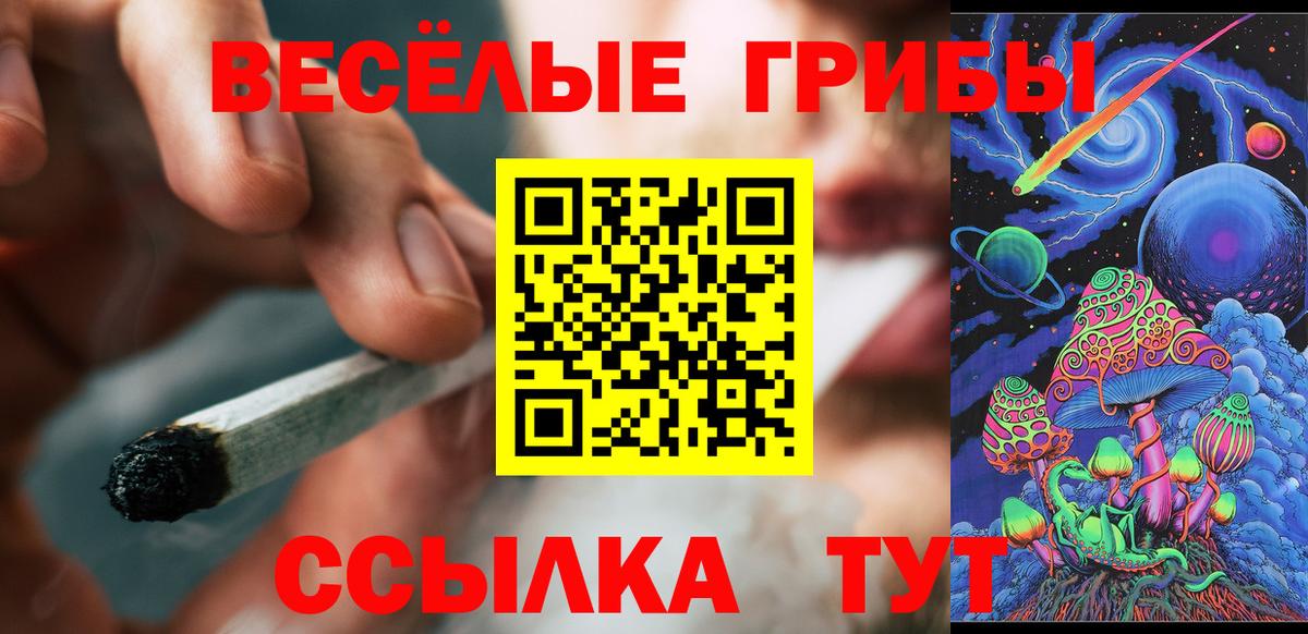 Фрязино  Псилоцибиновые грибы Psilocybe  Вход с VPN 